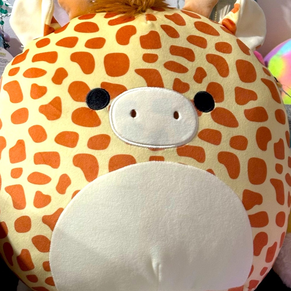 Squishmallow 12 inch NWT